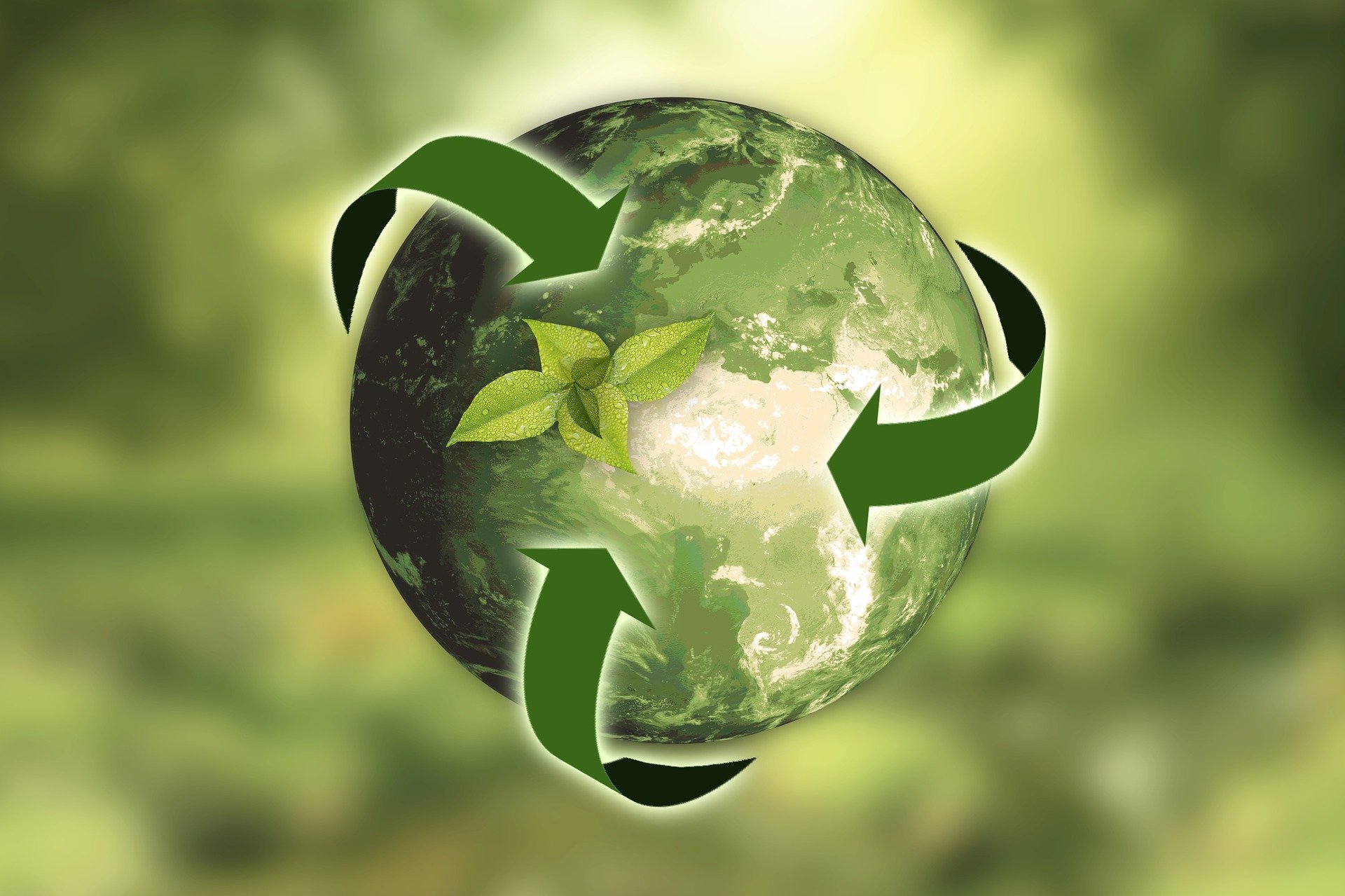 Cosa significa sostenibilità